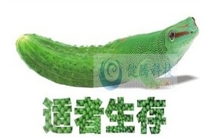 http://www.gzjtnet.com/